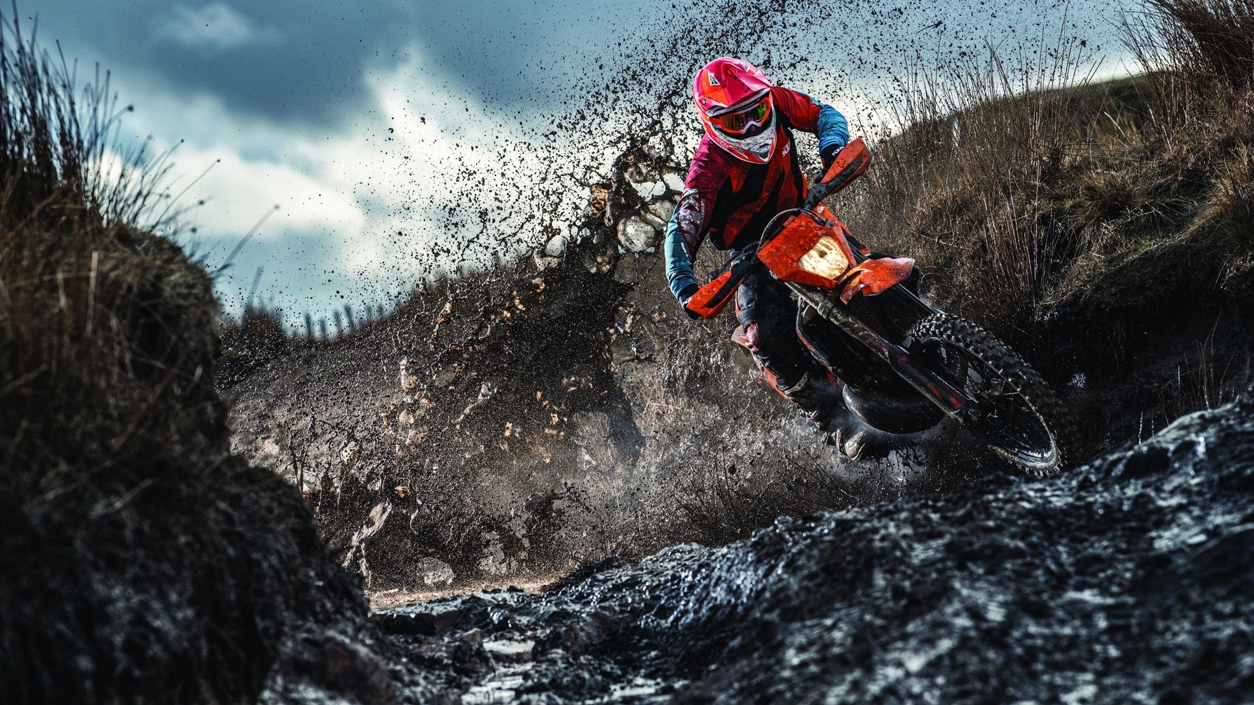 TES完成国际电竞赛事心理辅导项目试点，电竞心理学培训